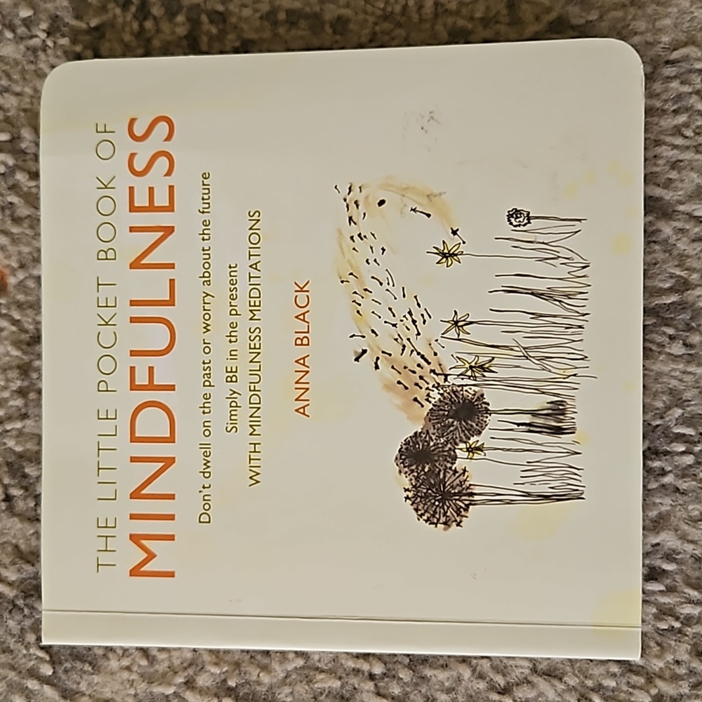 1/$7 or 2/$10 The Little Pocket Book of Mindfullness by Anna Black.